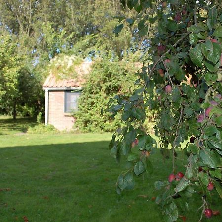 Vita Nova Hippolytushoef Esterno foto
