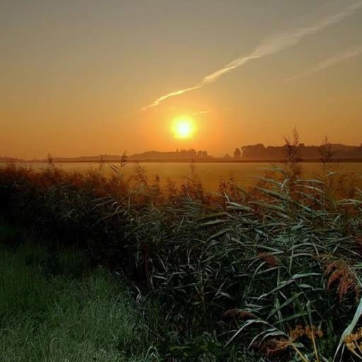Vita Nova Hippolytushoef Esterno foto