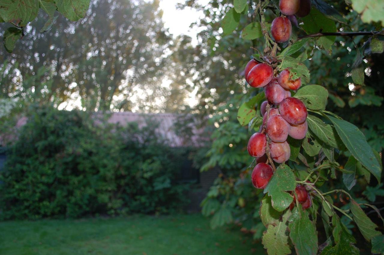 Vita Nova Hippolytushoef Esterno foto