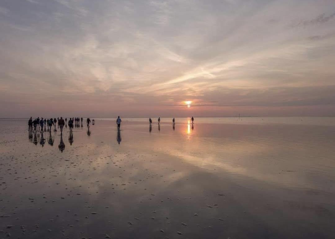 Vita Nova Hippolytushoef Esterno foto